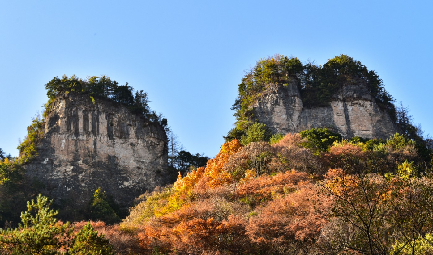 DSC_3759_ͼ.jpg