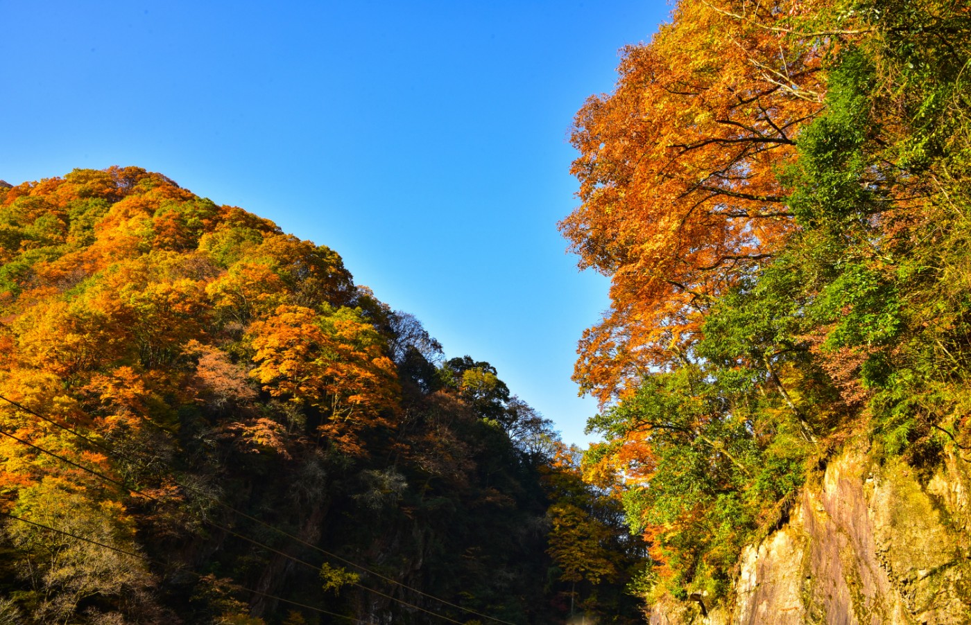 DSC_3915_ͼ.jpg