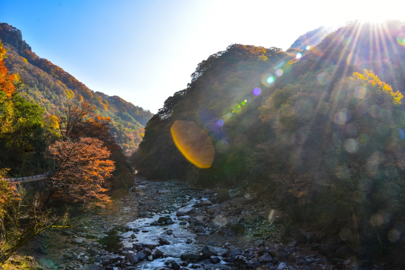 DSC_3918_ͼ.jpg