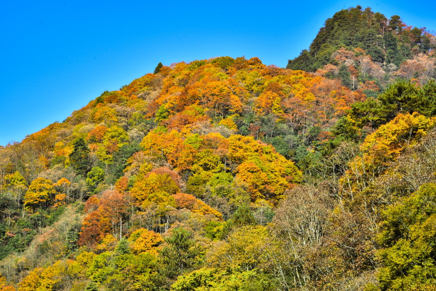DSC_3955_ͼ.jpg