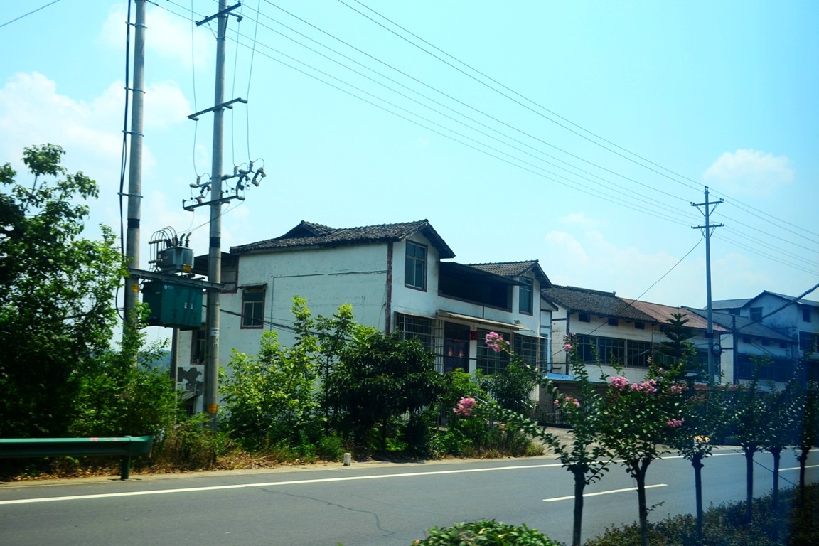 DSC_4799.JPG