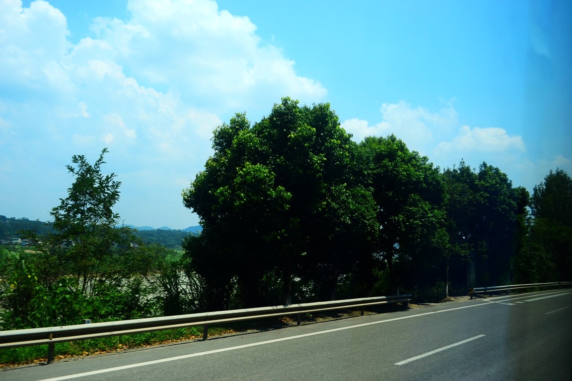 DSC_4811.JPG