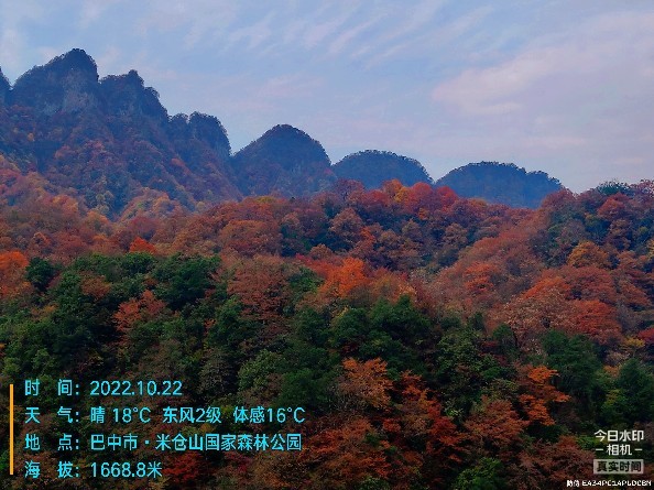 212917.jpg