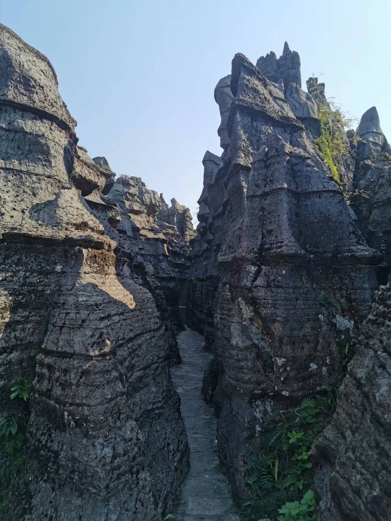 ʢʯ8.jpg