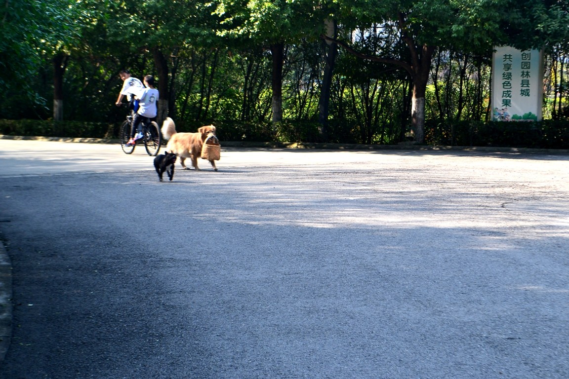 DSC_6093.JPG