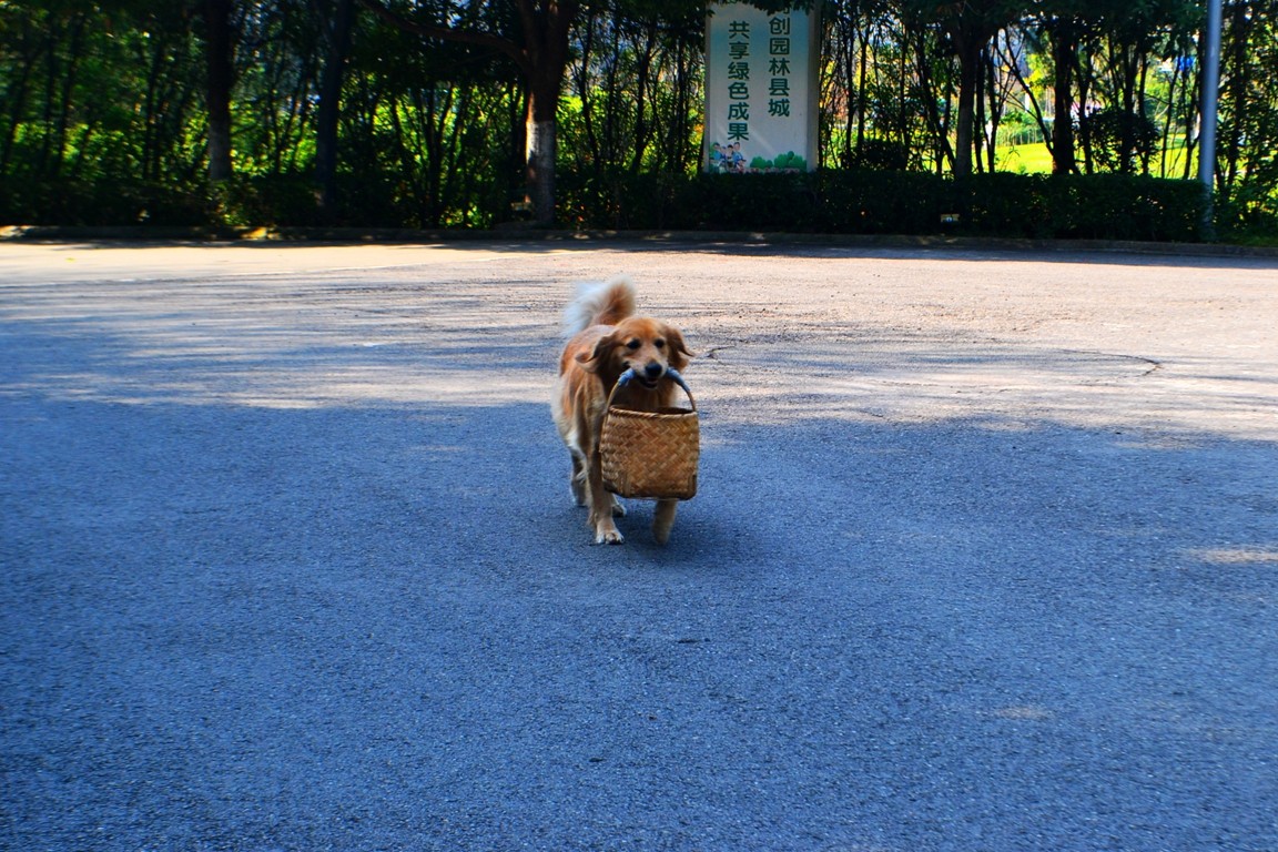 DSC_6094.JPG