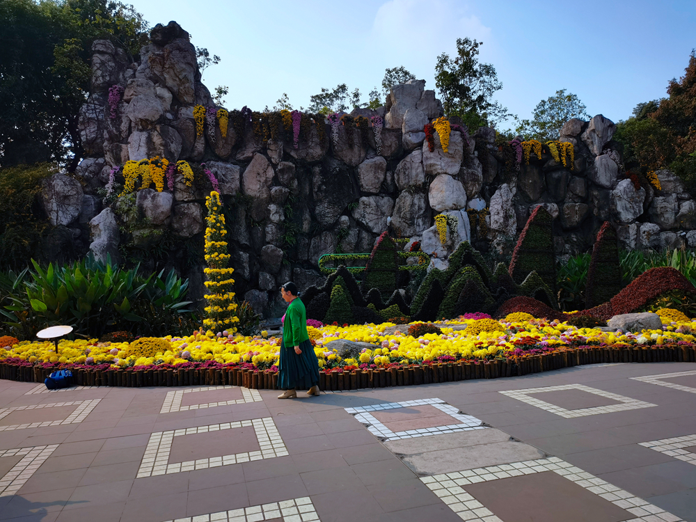 IMG_20221111_134057_.jpg