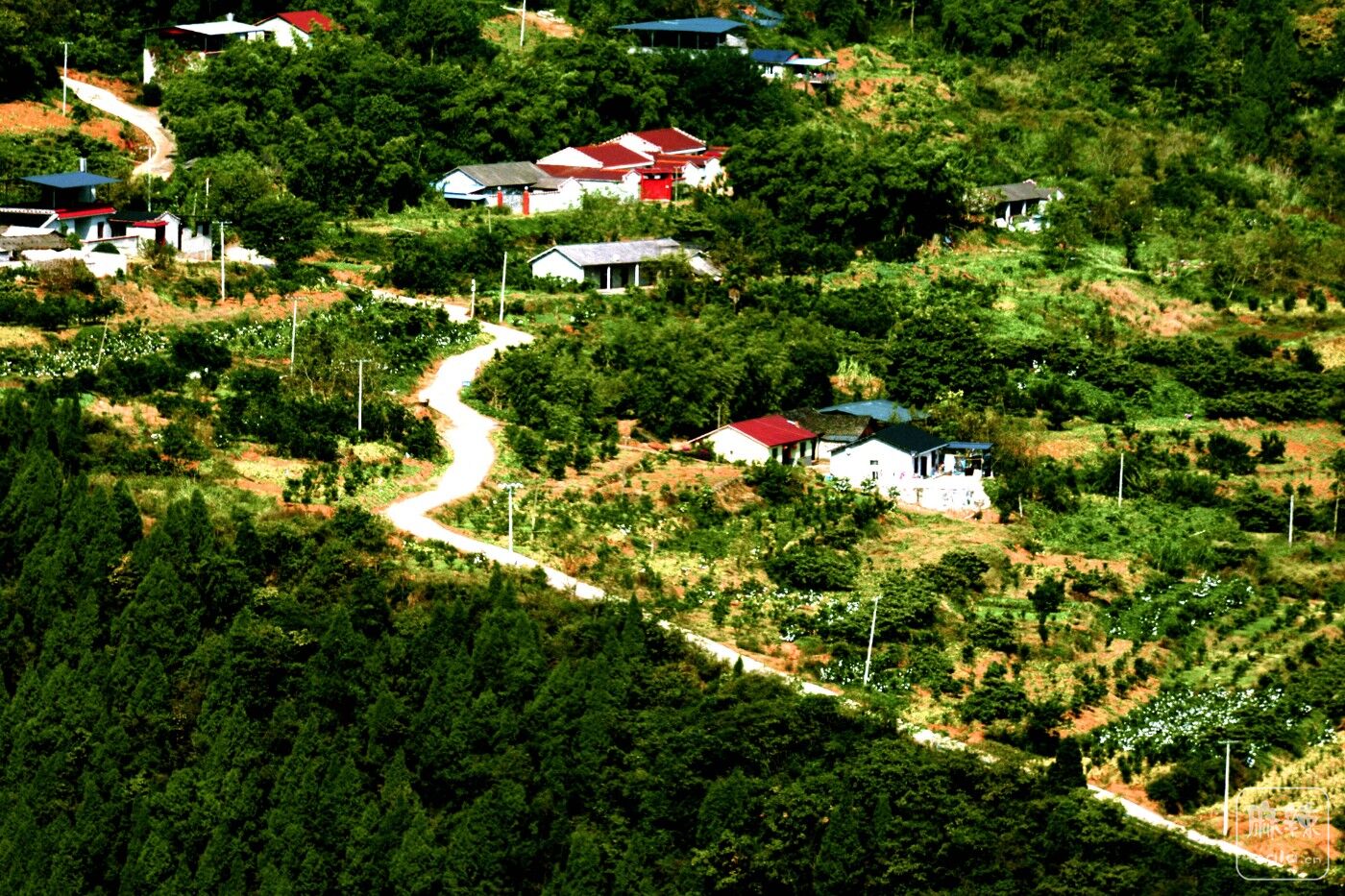 仁寿县高家镇牛角寨叫鹰头咀的山顶上新建了一个观景平台,目测要火