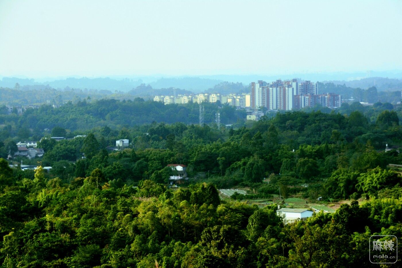 仁寿县高家镇牛角寨叫鹰头咀的山顶上新建了一个观景平台,目测要火