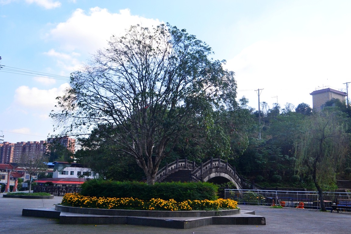 DSC_5928.JPG