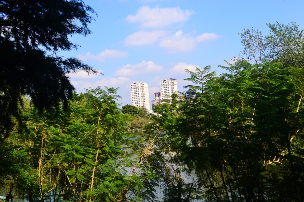 DSC_5975.JPG