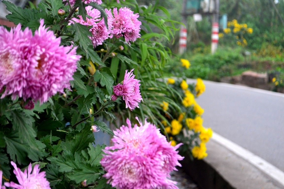 DSC_6401.JPG