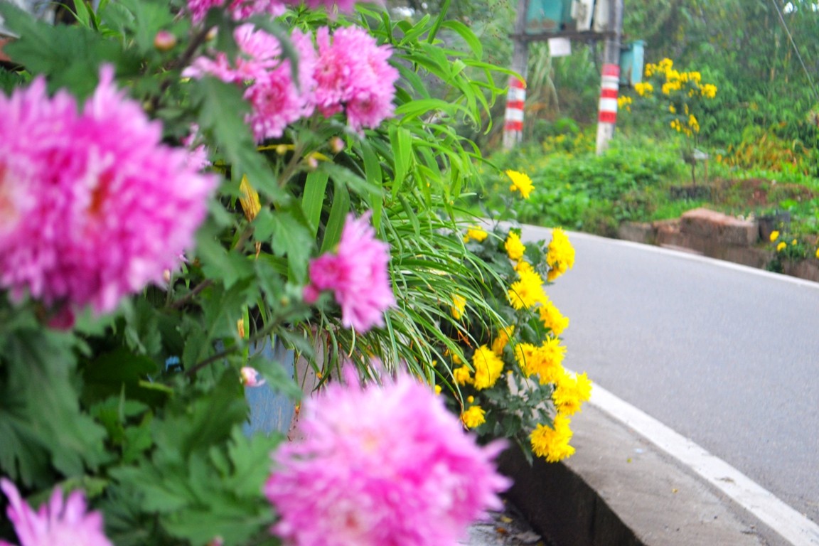 DSC_6402.JPG