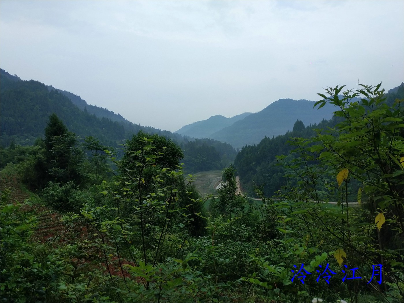 P20611-080106.jpg
