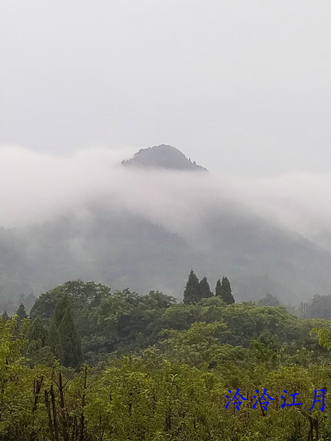 P20626-063006.jpg