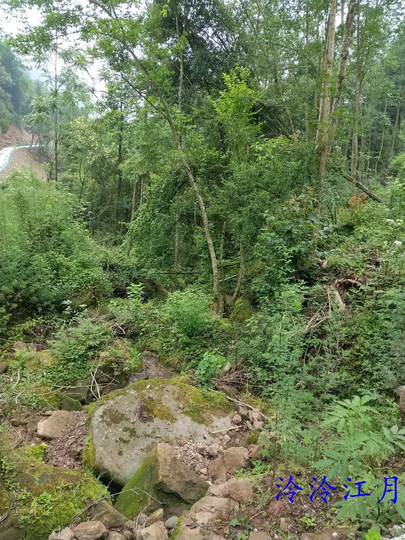 P20611-082226.jpg