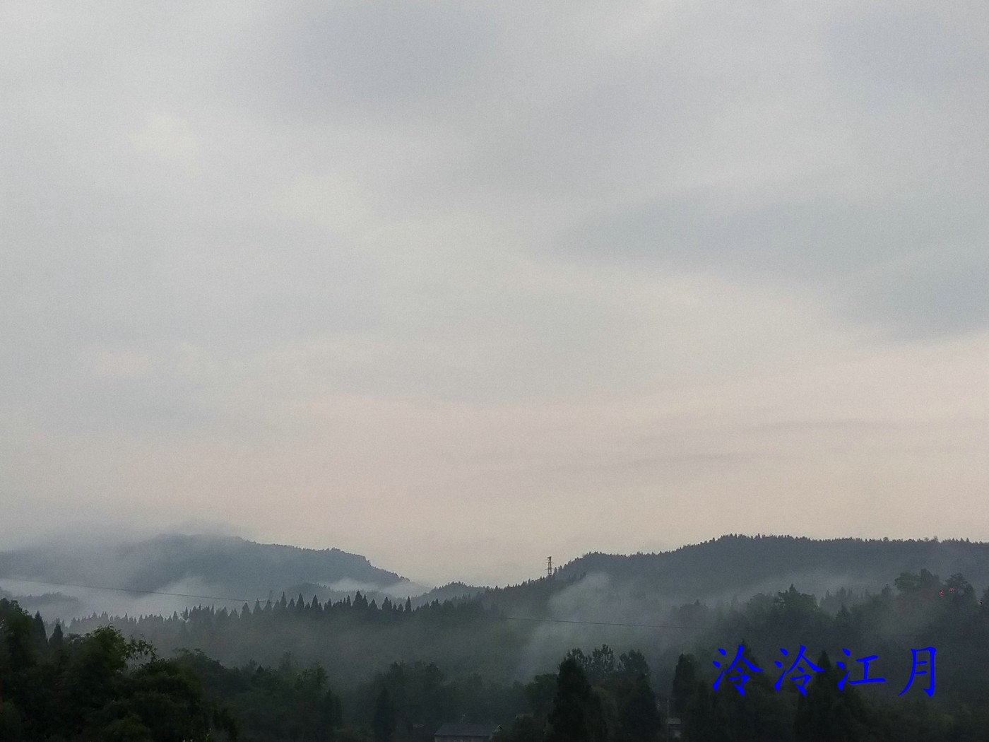 P20626-060324.jpg