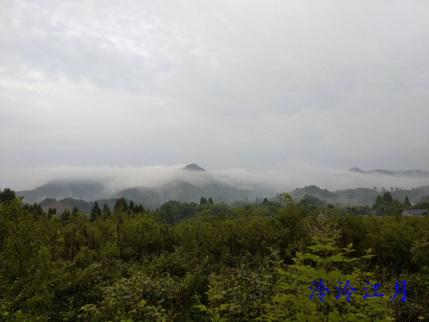 P20626-062943.jpg