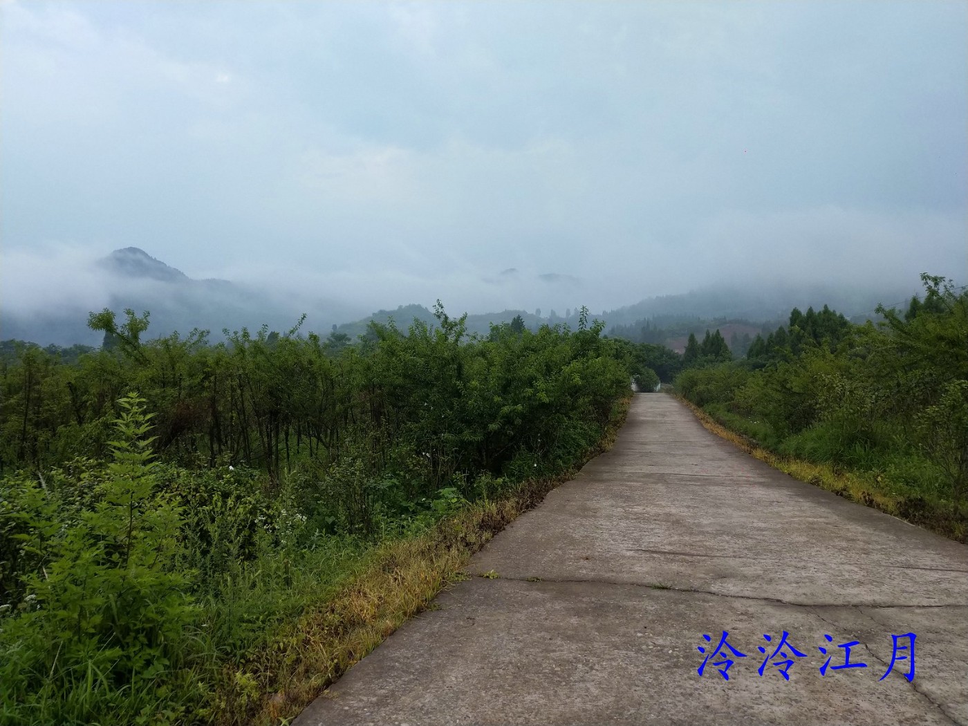 P20626-063335.jpg
