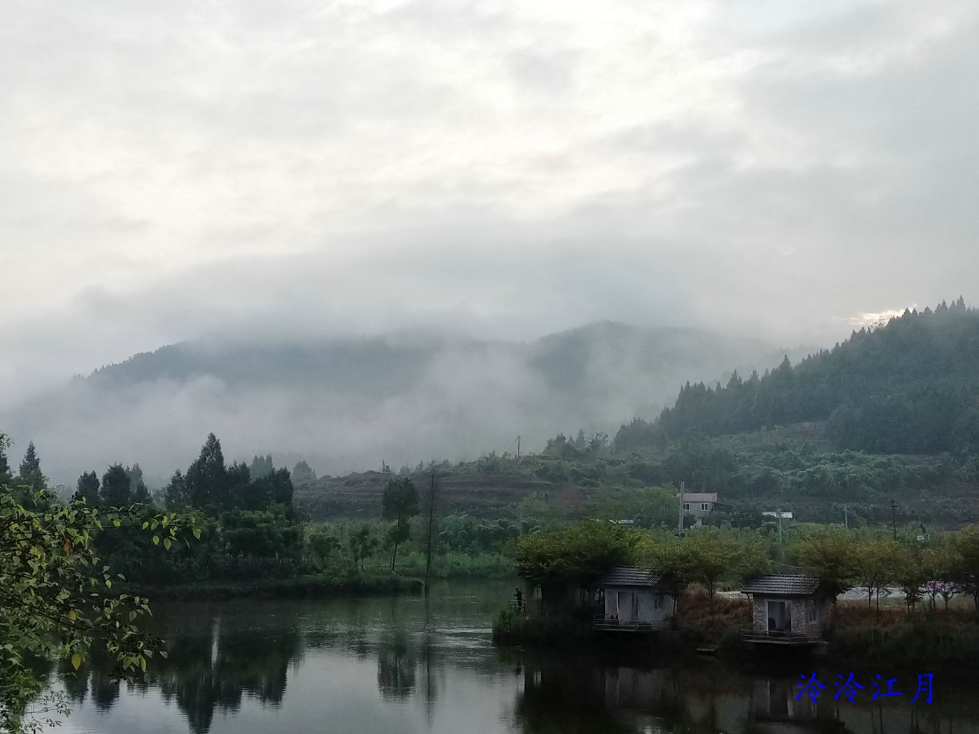 P20703-064829.jpg