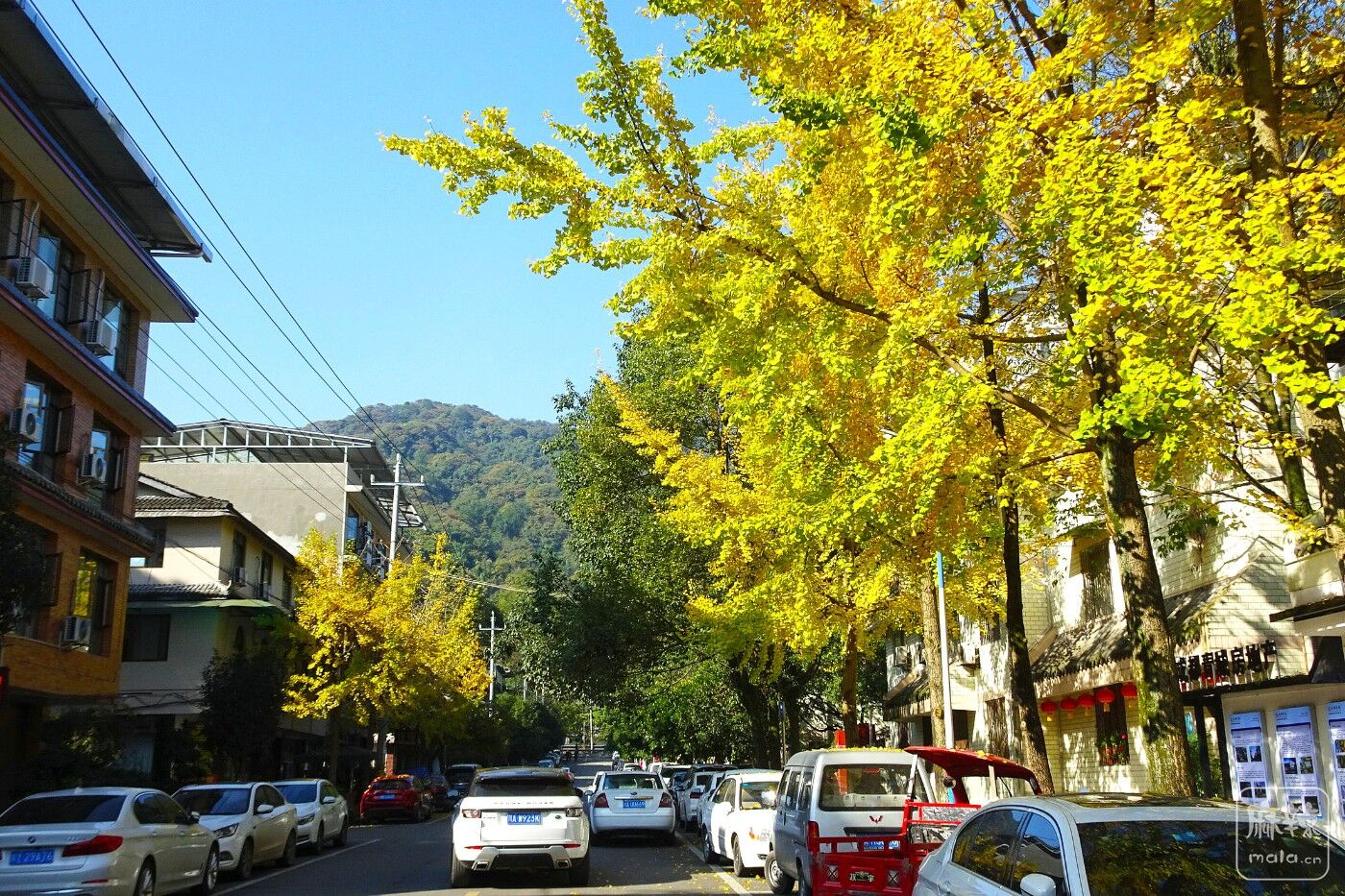 DSC09135.JPG