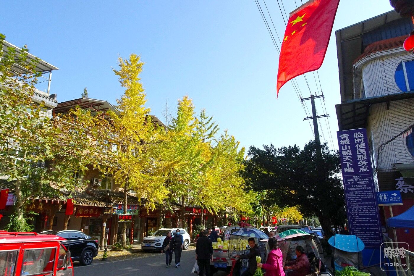 DSC09140.JPG