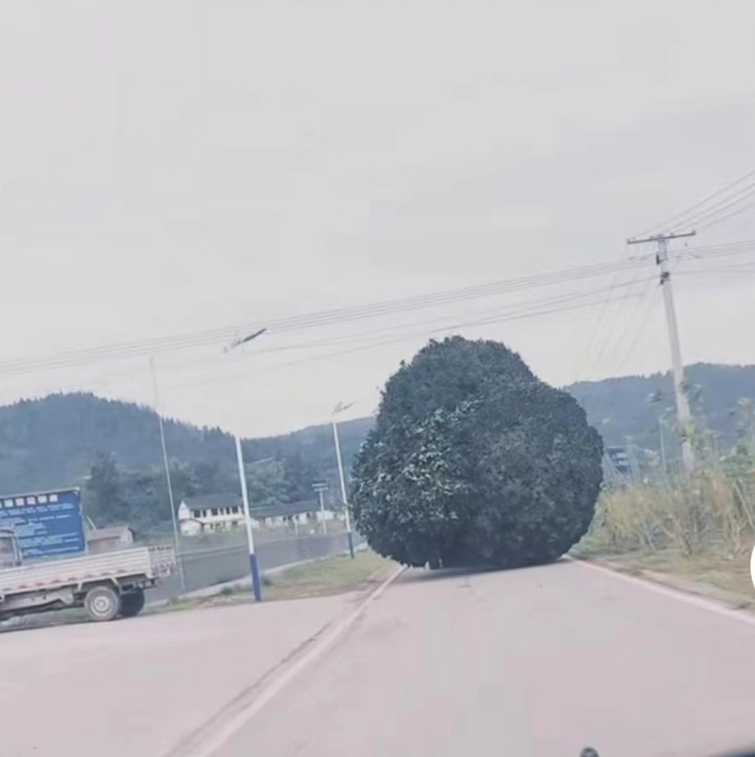 ΢Žͼ_20221123234354.png