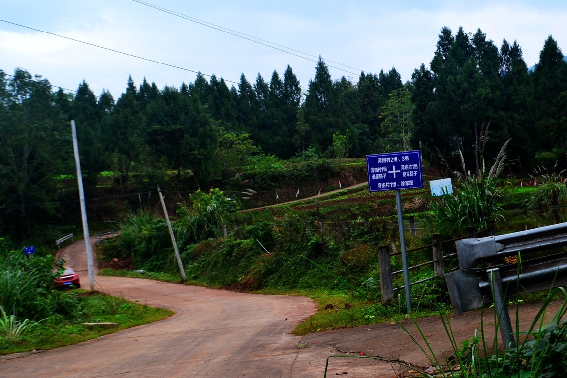 DSC_6460.JPG
