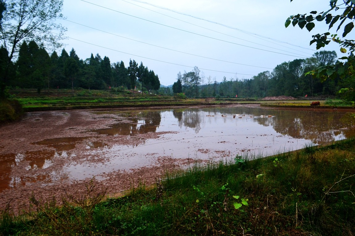 DSC_6564.JPG