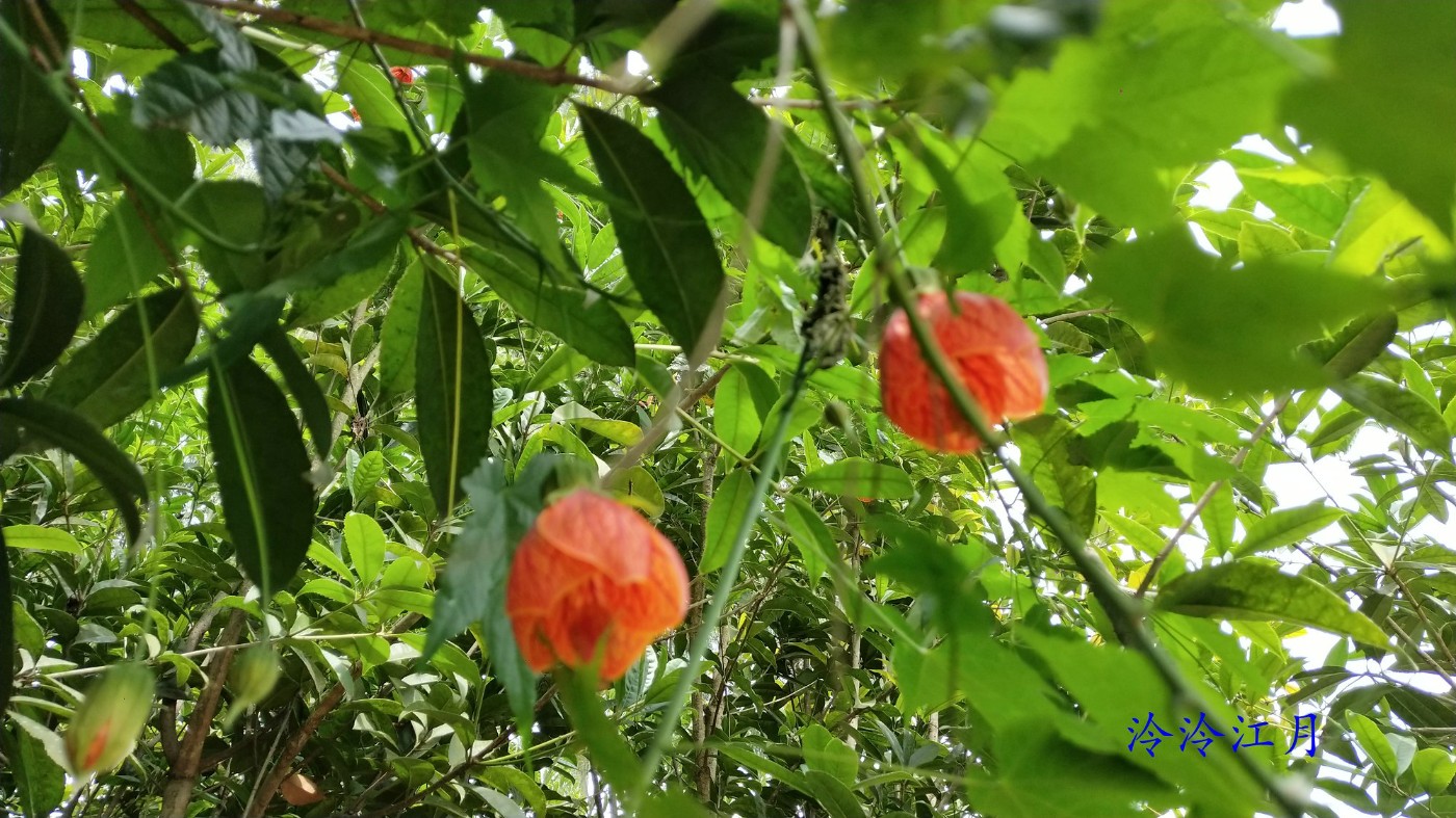 FJIMG_20220502_150031.jpg