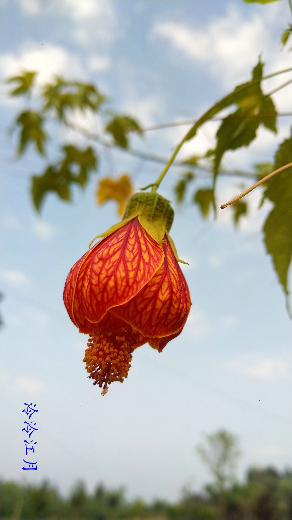 FJIMG_20220508_075801.jpg