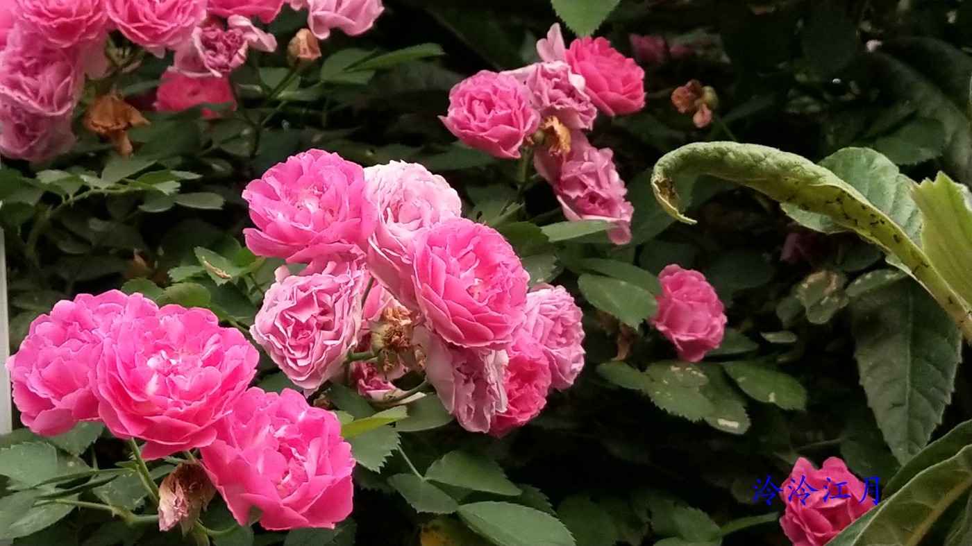 FJIMG_20220423_183735.jpg