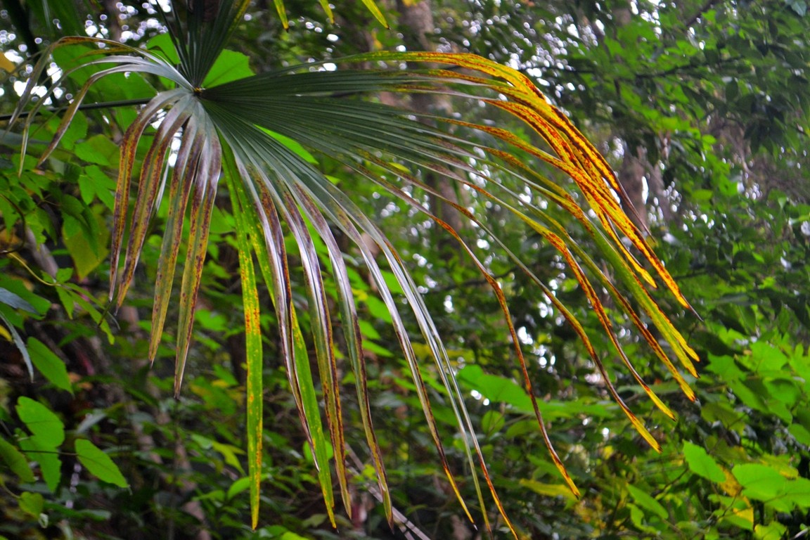 DSC_6626.JPG