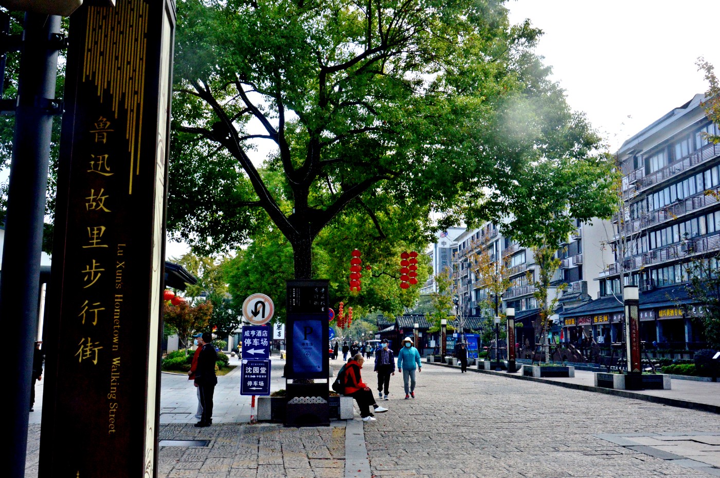 DSC_0223.JPG