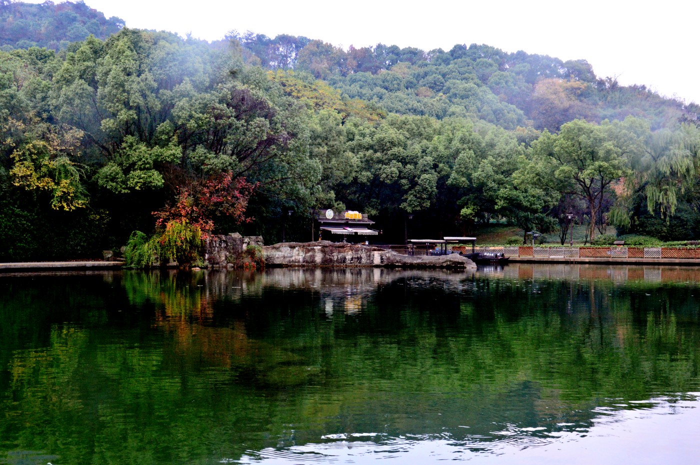 DSC_0333.JPG