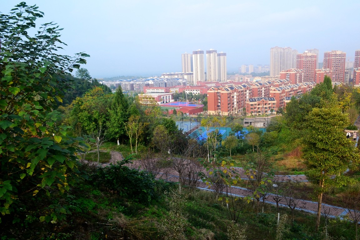DSC_6797.JPG