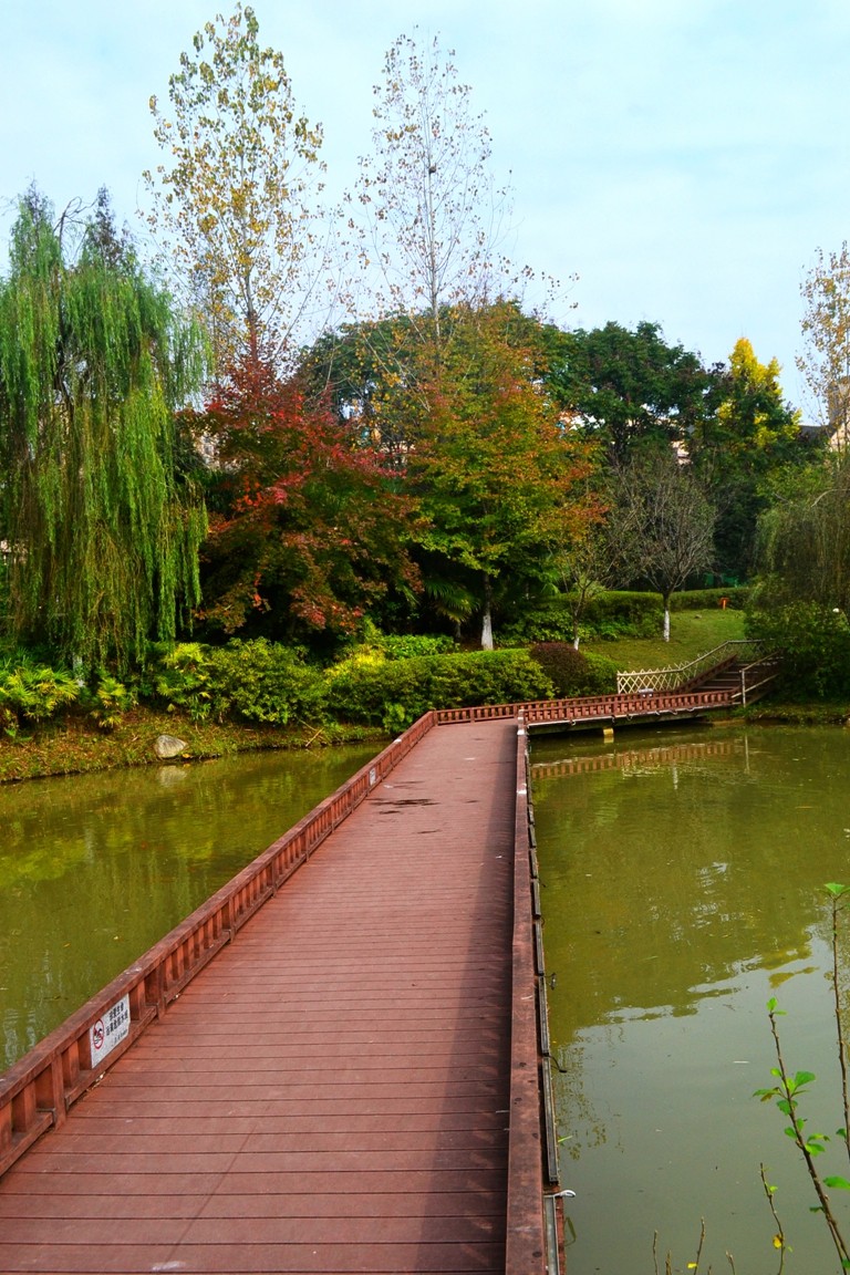 DSC_6912.JPG