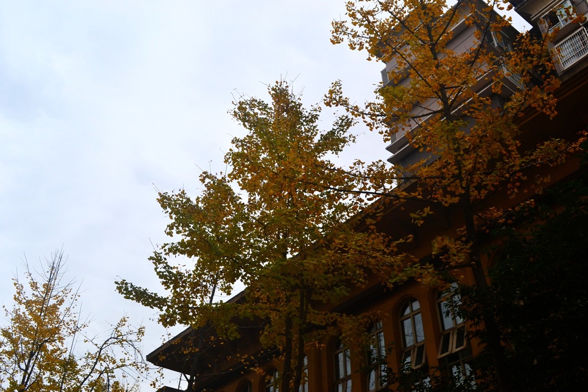 DSC_6920.JPG