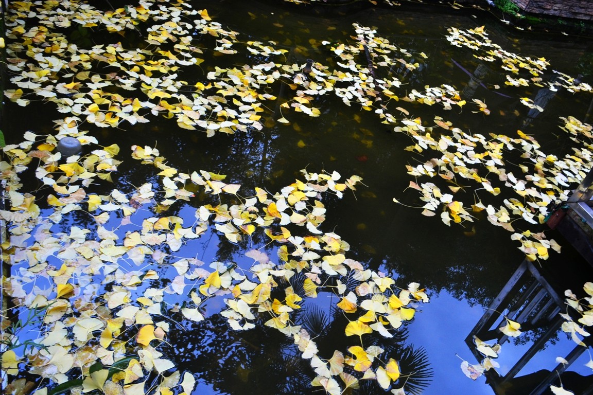 DSC_6928.JPG