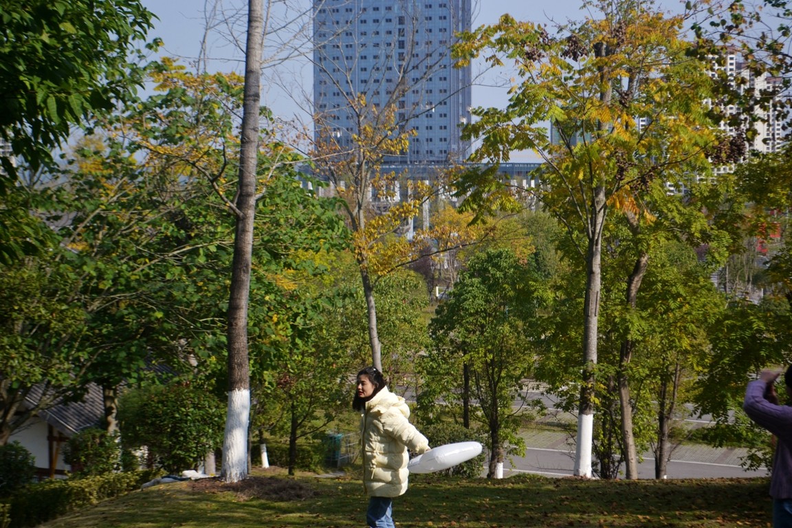 DSC_7179.JPG