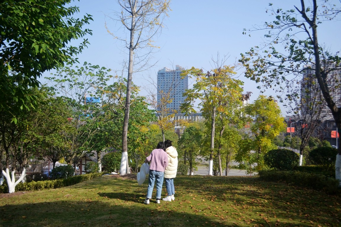 DSC_7184.JPG