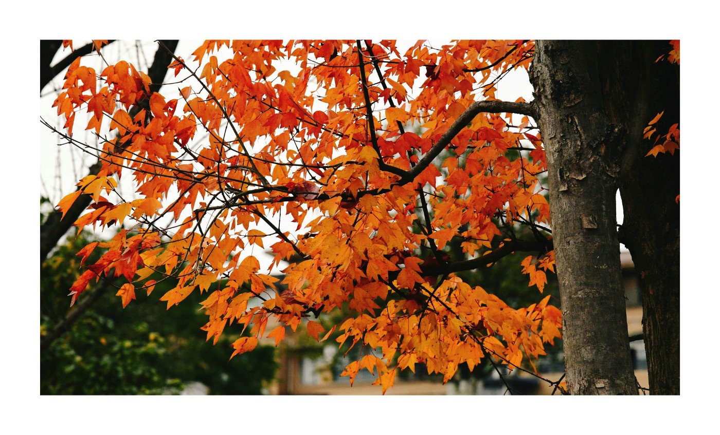 DSC_6344.jpg