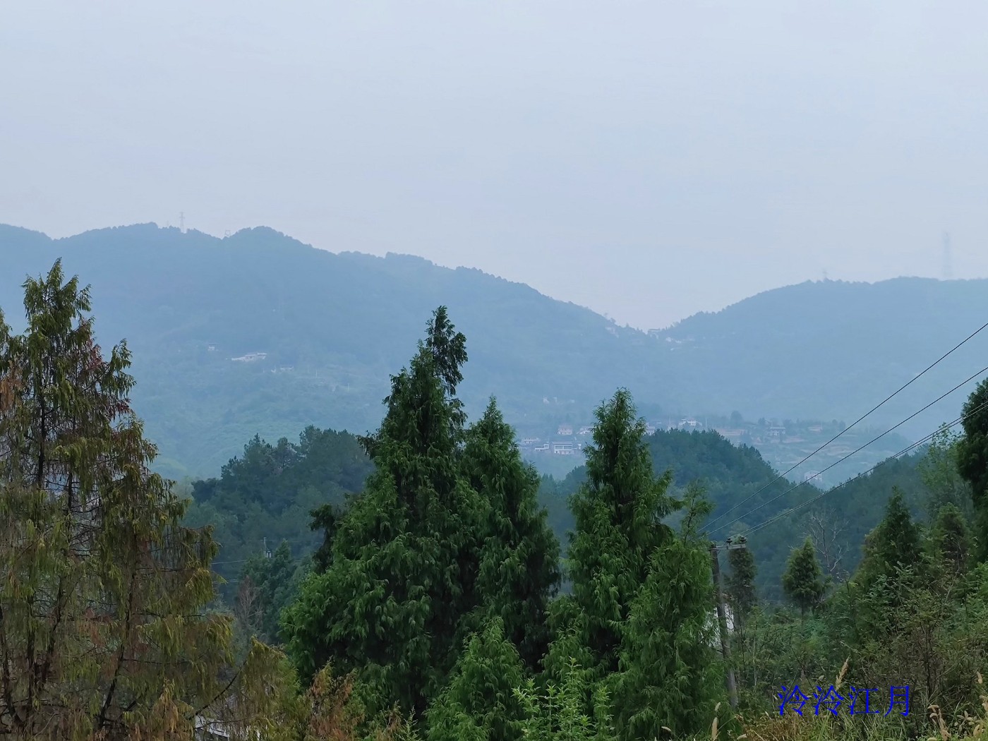 IMG_20220916_144049.jpg