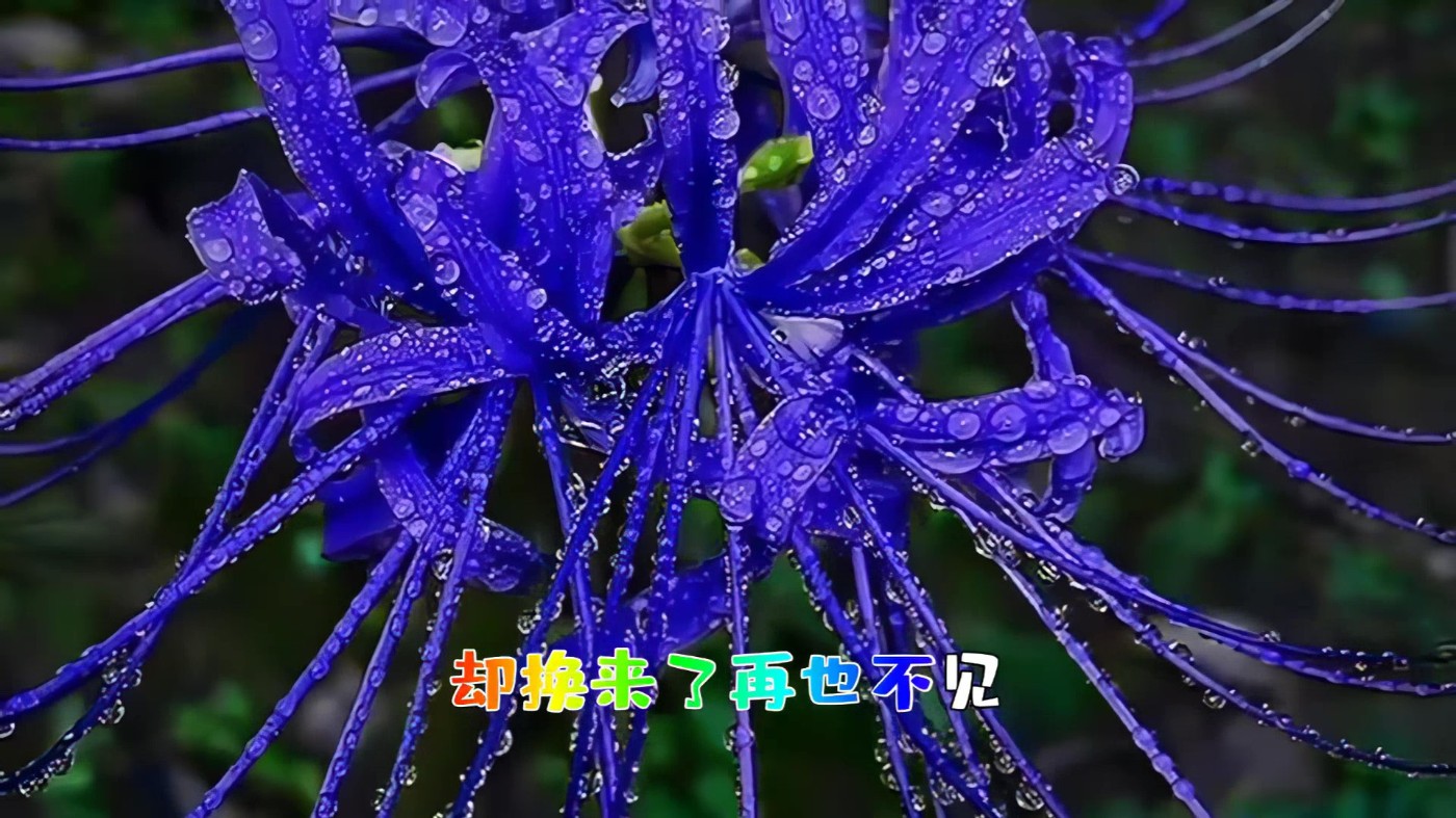 ʯ ߣ˸Ů棩 10.jpg