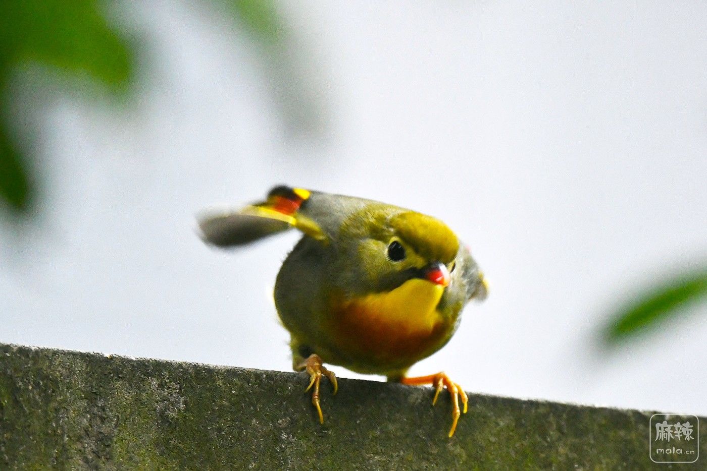 DSC_2463.JPG