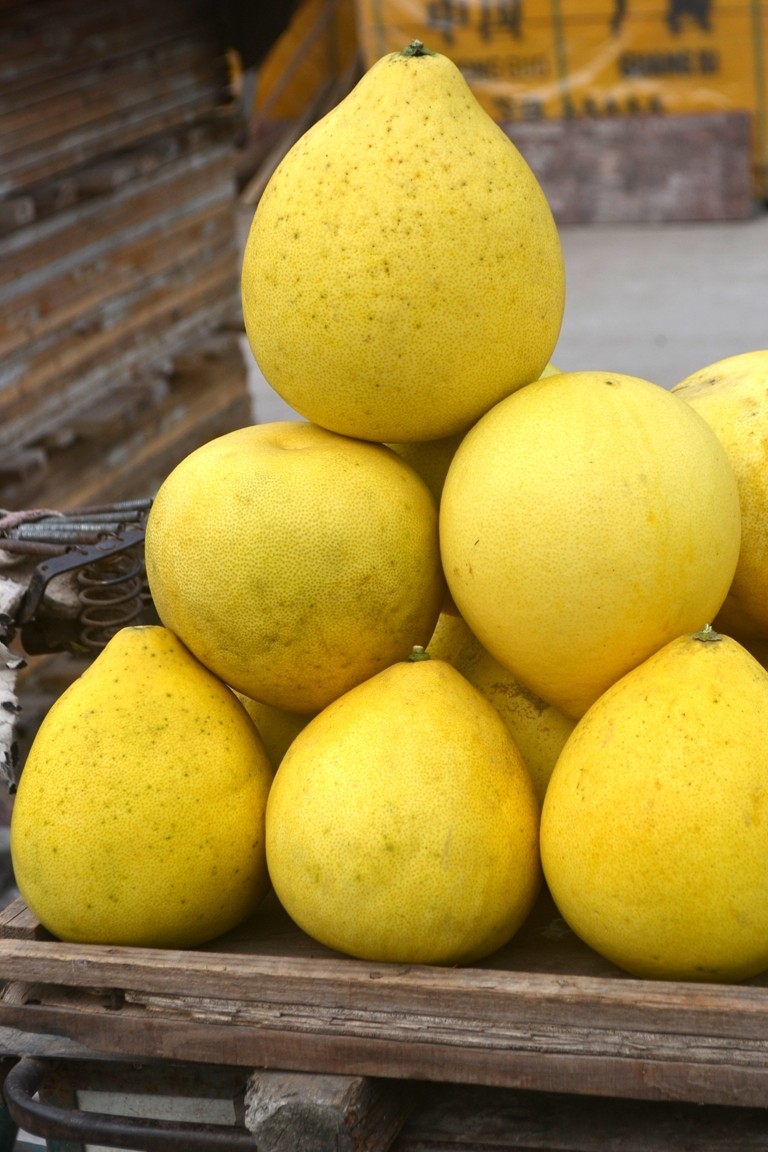 DSC_7525.JPG