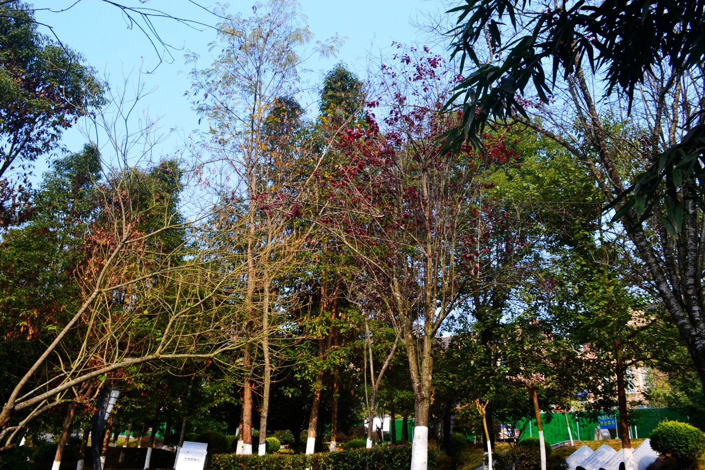 DSC_7435.JPG