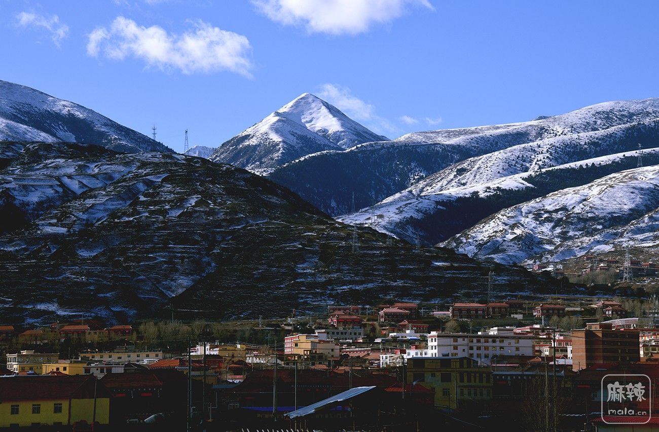 DSC_0134.JPG