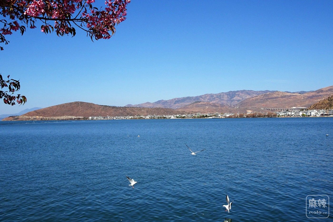 DSC09780.JPG