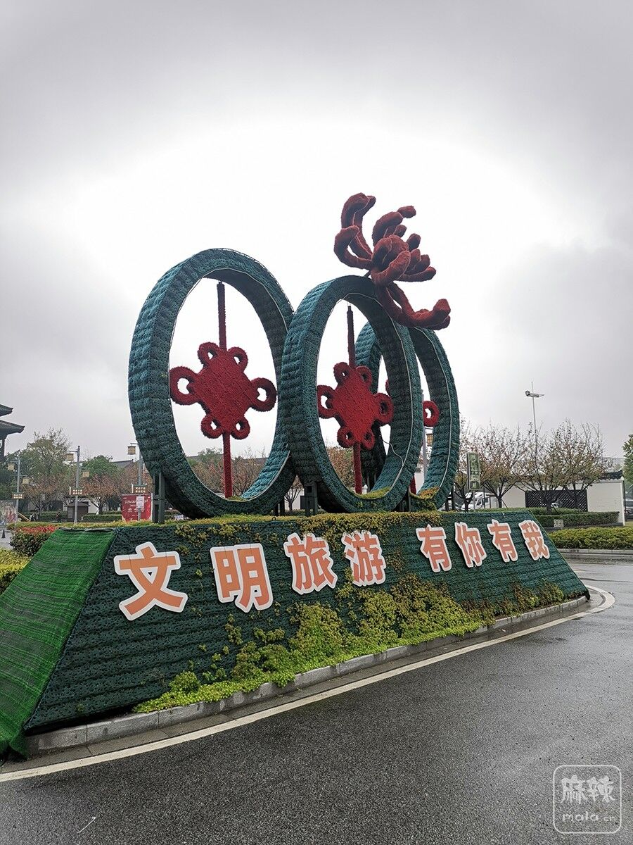 IMG_20211105_100555.jpg